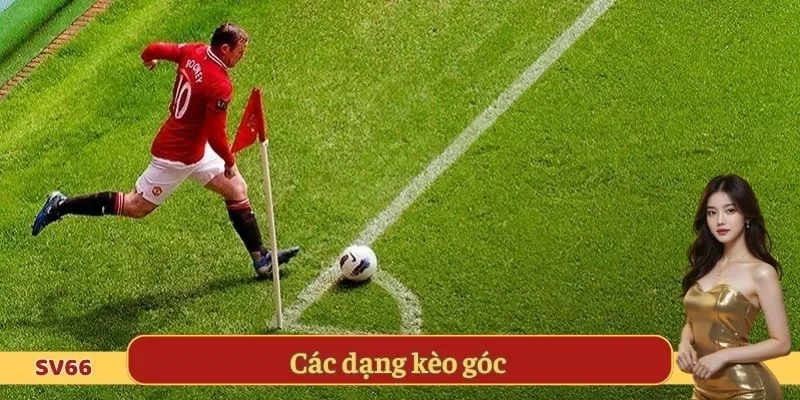 Các dạng kèo góc 